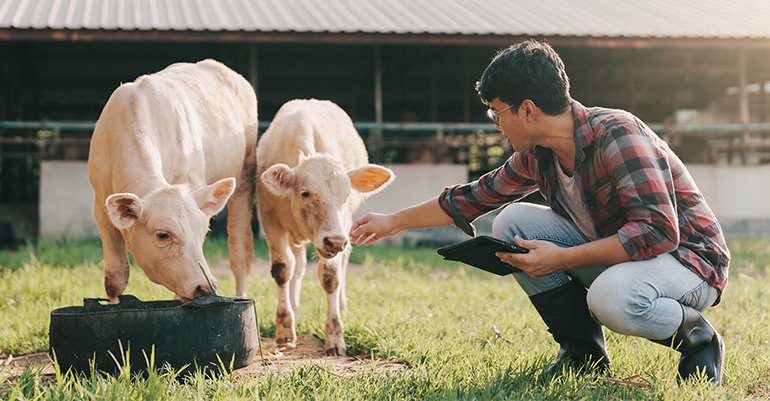 AI trong Nông nghiệp — Tương lai của Nông nghiệp