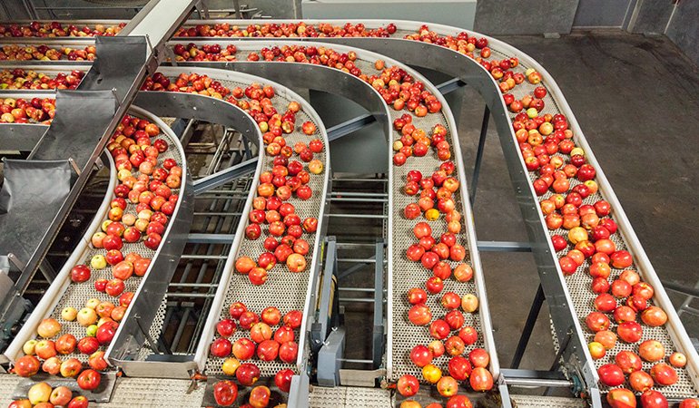 AI trong Nông nghiệp — Tương lai của Nông nghiệp